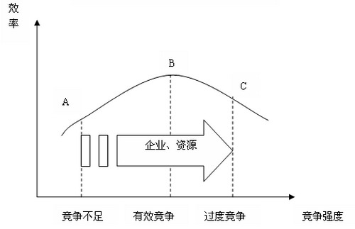 产业集群网络式创新竞争合作机制研究